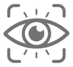 Vision Icon