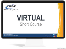 Virtual Short Course icon